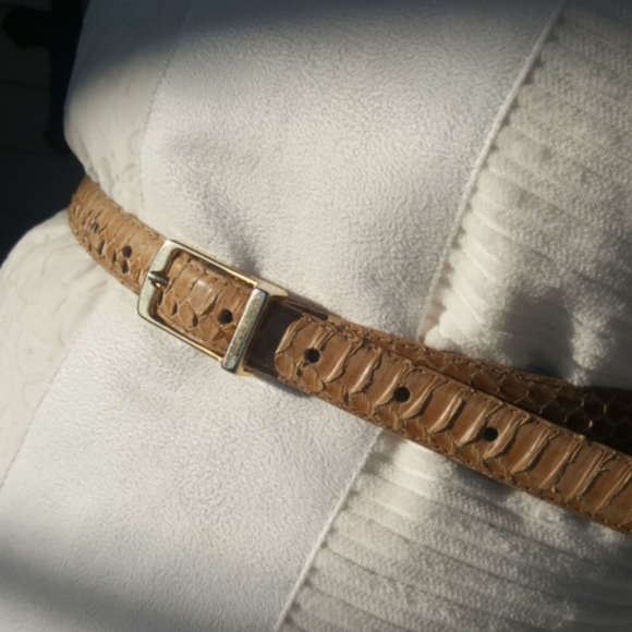 VINTAGE ♡ Gorgeous Beige Genuine Snake Skin Leather Belt with Gold Hardware M f main image 6